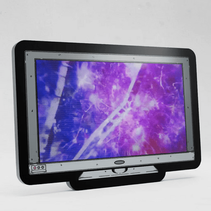 Monitor Lenticular Resident Evil 6 Pin
