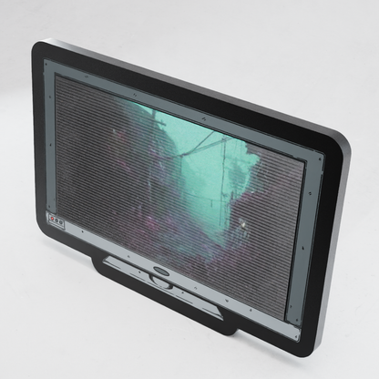 Monitor Lenticular Silent HIll F Pin